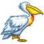 Красногрудый пеликан