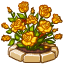 Окружение: Желтые розы