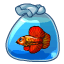 Рыбки: Пламенная Рыбабочка
